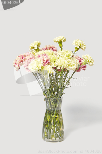 Image of Glass vase with bouquet from fresh beautiful carnation flowers.