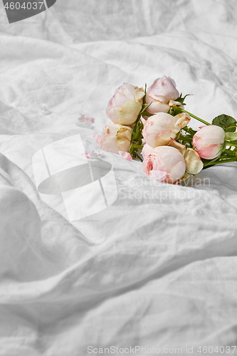 Image of Bouquet of tender pink roses flowers on a crumpled bed sheet.