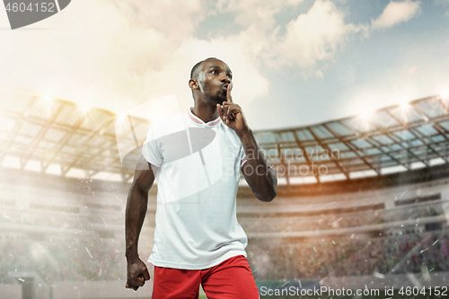 Image of The football player in motion on the field of stadium