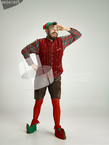 Image of friendly man dressed like a funny gnome posing on an isolated gray background