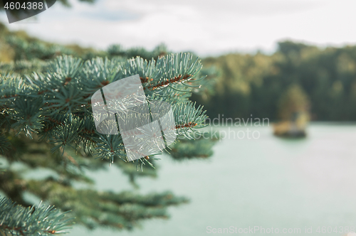 Image of Summer landscape of lake with crystal and fresh water Aya