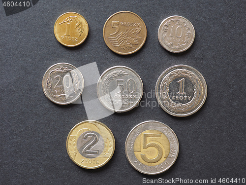 Image of Polish Zloty coins, Poland