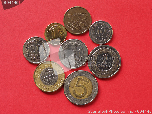 Image of Polish Zloty coins, Poland
