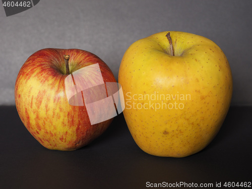 Image of yellow and red apple fruit food