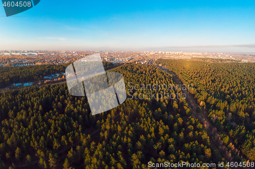 Image of Aerial view of winter forest.