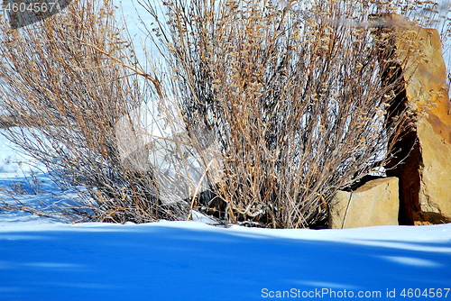 Image of Winter snow season.