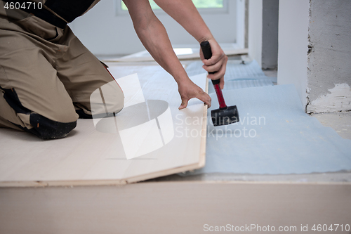 Image of Professional Worker Installing New Laminated Wooden Floor