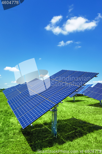Image of typical solar plant outdoors