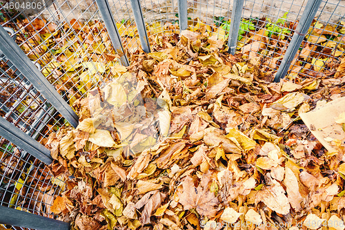 Image of autumn foliage batch