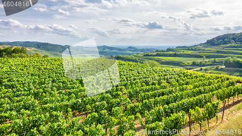 Image of aerial view vineyard scenery at Kaiserstuhl Germany