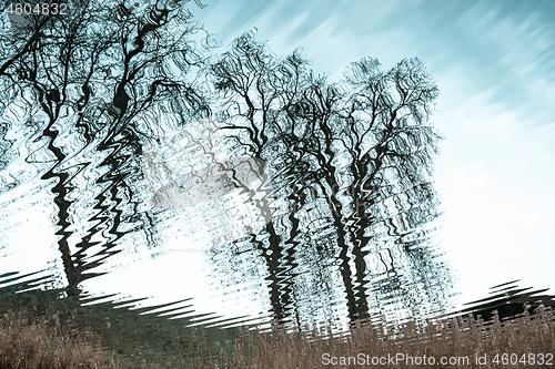 Image of nature trees water surface reflection