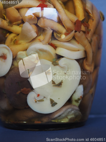 Image of mixed champignons and porcini mushrooms in jar