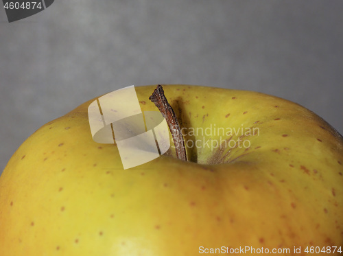 Image of yellow apple fruit food