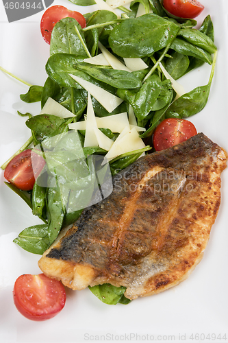 Image of Grilled Dorado fish fillet