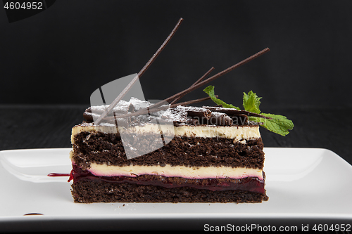 Image of Plate with piece of delicious chocolate cake