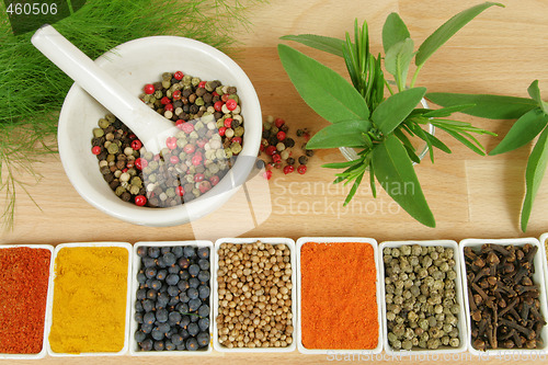 Image of Herbs and spices