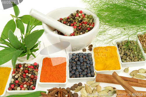 Image of Herbs and spices