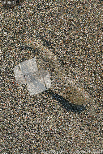Image of Footprint