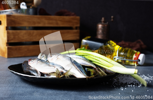 Image of  raw smelt fish