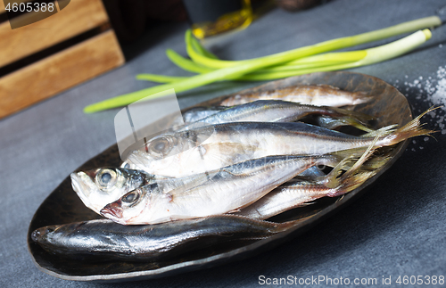 Image of  raw smelt fish