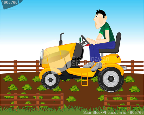 Image of Man farmer on garden tractor in vegetable garden