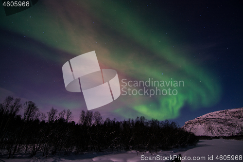 Image of Aurora Borealis, River Eibyelva, Alta, Norway