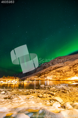 Image of Aurora Borealis, Harbour Ersfjordbotn, Norway