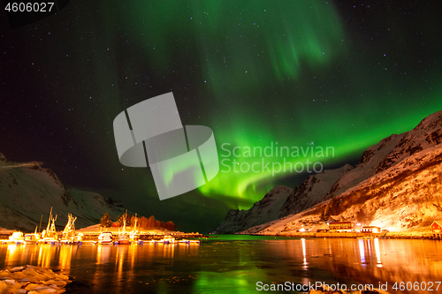 Image of Aurora Borealis, Harbour Ersfjordbotn, Norway