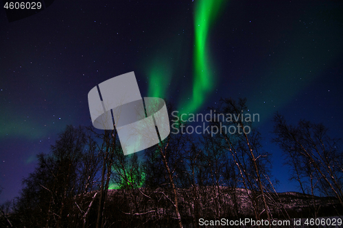 Image of Aurora Borealis, River Eibyelva, Alta, Norway