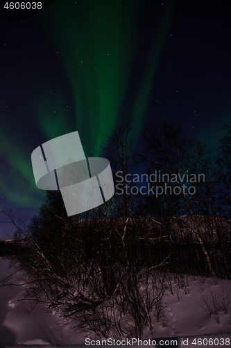 Image of Aurora Borealis, River Eibyelva, Alta, Norway