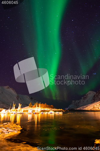 Image of Aurora Borealis, Harbour Ersfjordbotn, Norway