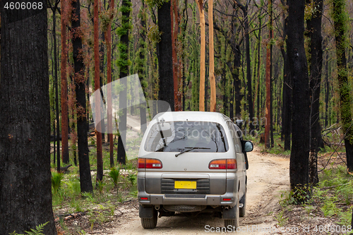 Image of Driving the back roads of Mogo through burnt bush land