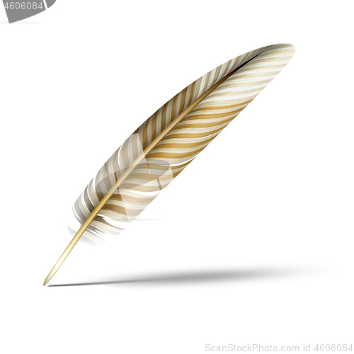 Image of beautiful feather with shadow on white