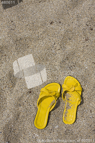 Image of Yellow Flip-Flops