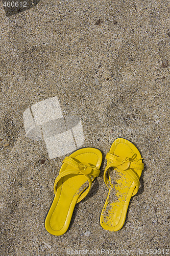 Image of Yellow Flip-Flops