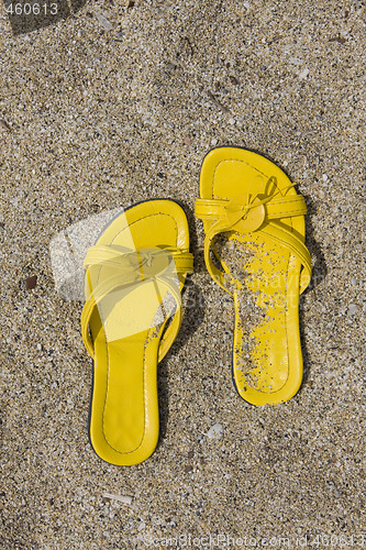 Image of Yellow Flip-Flops