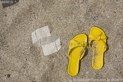 Image of Yellow Flip-Flops