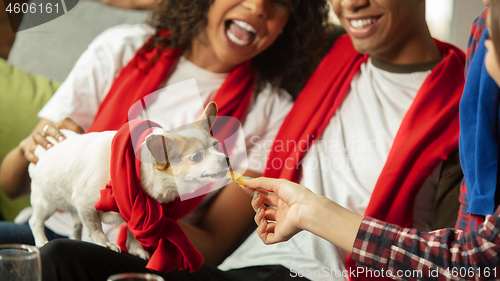 Image of Excited group of people watching sport match, championship at home