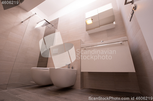 Image of luxury stylish bathroom interior