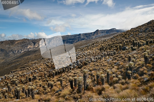 Image of Mountain landscape in the Andes