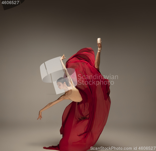 Image of Young graceful tender ballerina on grey studio background