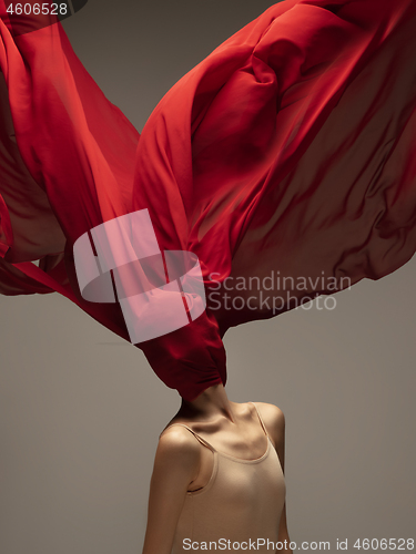 Image of Young graceful tender ballerina on grey studio background