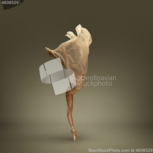 Image of Young graceful tender ballerina on grey studio background