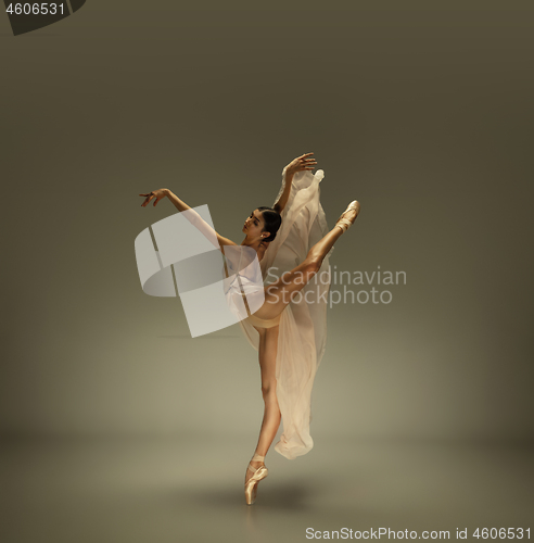 Image of Young graceful tender ballerina on grey studio background