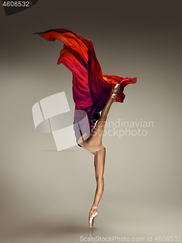 Image of Young graceful tender ballerina on grey studio background