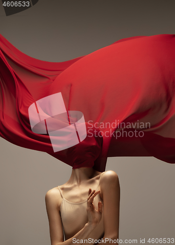 Image of Young graceful tender ballerina on grey studio background