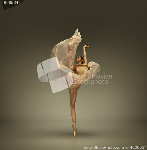 Image of Young graceful tender ballerina on grey studio background