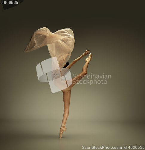 Image of Young graceful tender ballerina on grey studio background