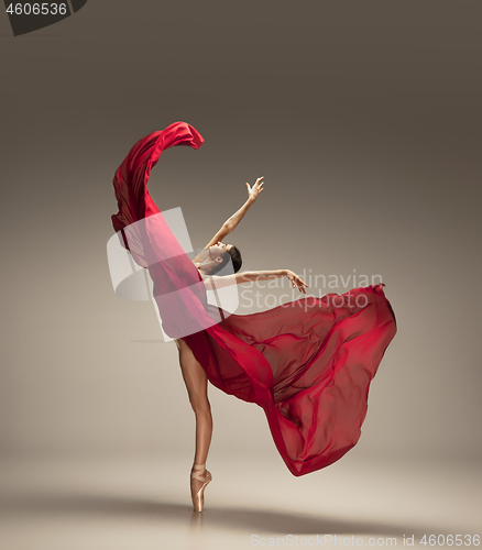 Image of Young graceful tender ballerina on grey studio background