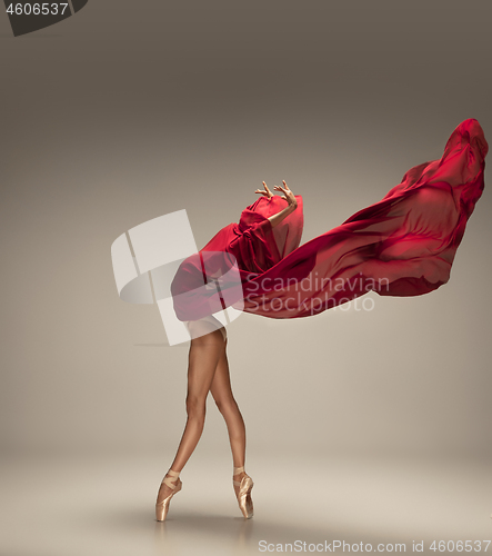 Image of Young graceful tender ballerina on grey studio background